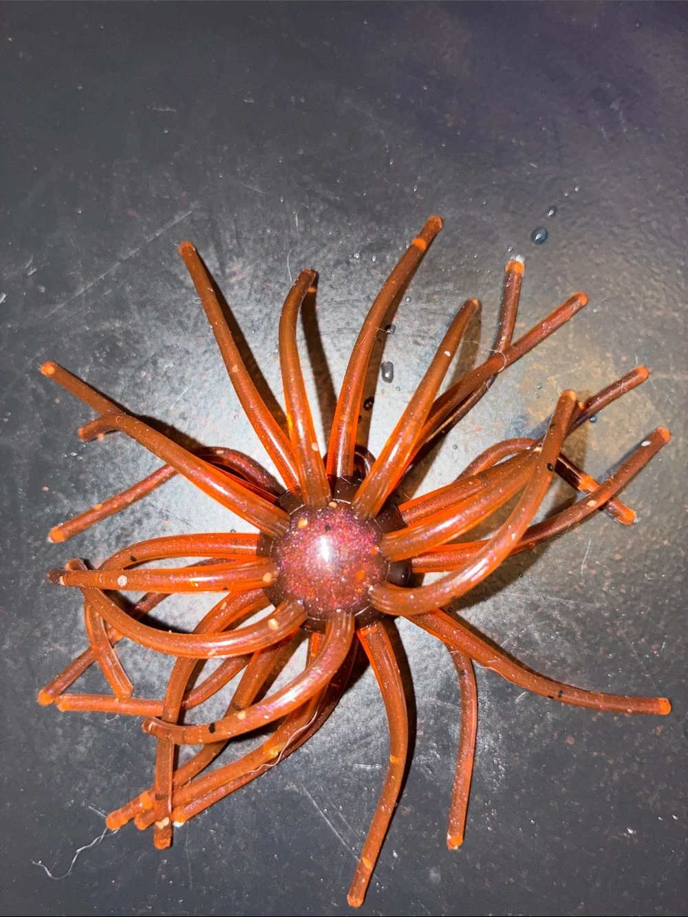 BURNT-MOTOROIL 4 INCH URCHIN